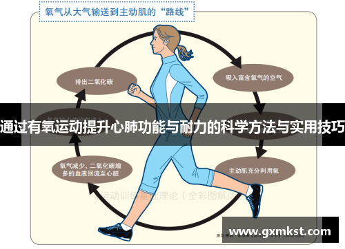 通过有氧运动提升心肺功能与耐力的科学方法与实用技巧