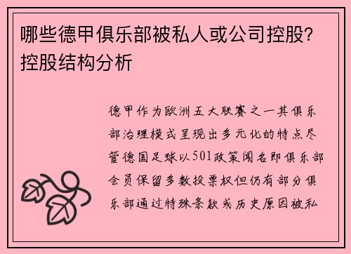 哪些德甲俱乐部被私人或公司控股？控股结构分析