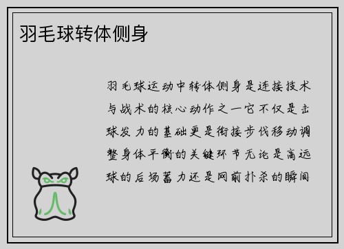 羽毛球转体侧身