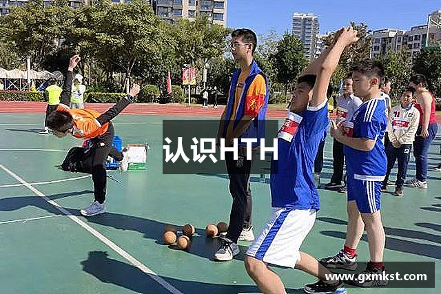 认识HTH